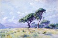 カンヌの風景 ルミニズム ウィリアム・スタンリー・ハゼルタイン